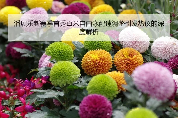 潘展乐新赛季首秀百米自由泳配速调整引发热议的深度解析