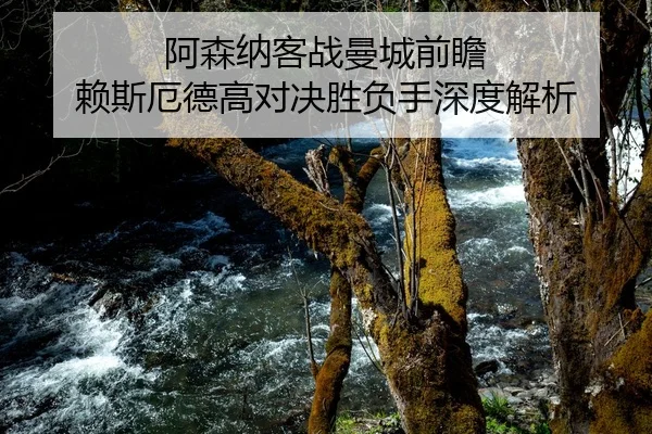 阿森纳客战曼城前瞻 赖斯厄德高对决胜负手深度解析